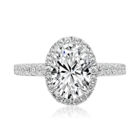Oval Diamond Engagement Ring with Single Halo